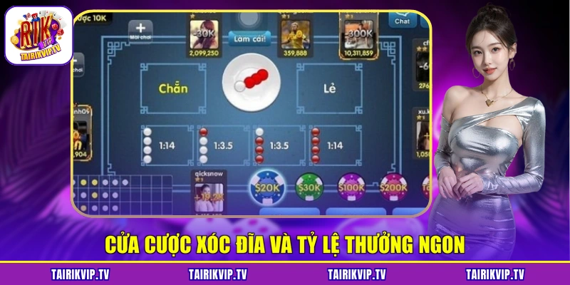 Cửa cược Xóc đĩa và tỷ lệ thưởng ngon
